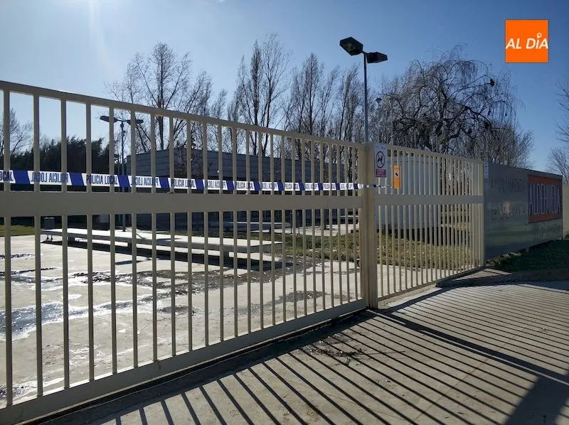 Foto 4 - La borrasca Gloria derriba &aacute;rboles y obliga a cerrar parques a su paso por Salamanca