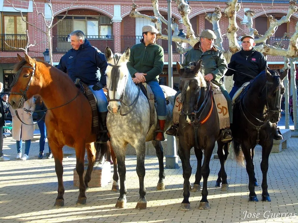 Foto 3 - Macotera bendice a los animales por San Ant&oacute;n