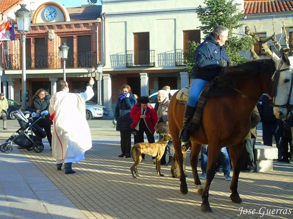 Foto 2 - Macotera bendice a los animales por San Ant&oacute;n