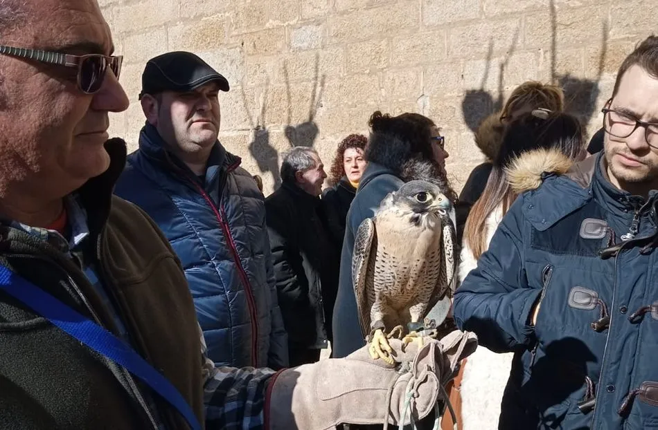 Foto 2 - Ledesma capea el fr&iacute;o en la Subasta de San Ant&oacute;n con m&aacute;s de 2.700 euros recaudados  