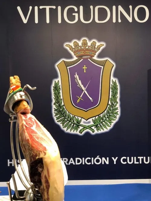 Foto 10 - El Ayuntamiento de Vitigudino da a conocer los recursos tur&iacute;sticos de la comarca en Fitur  