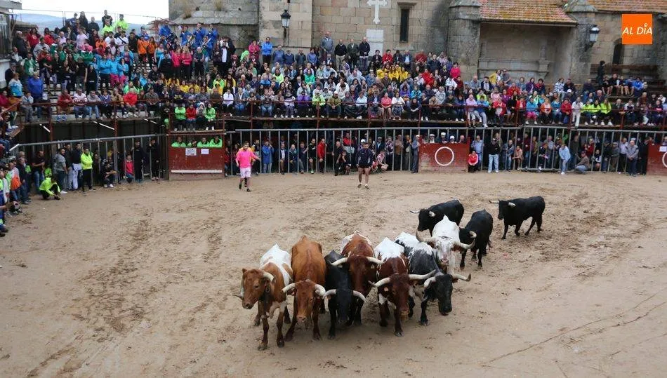 El encierro de Ignacio López-Chaves ha obtenido el premio a la Mejor novillada de la feria / CORRAL