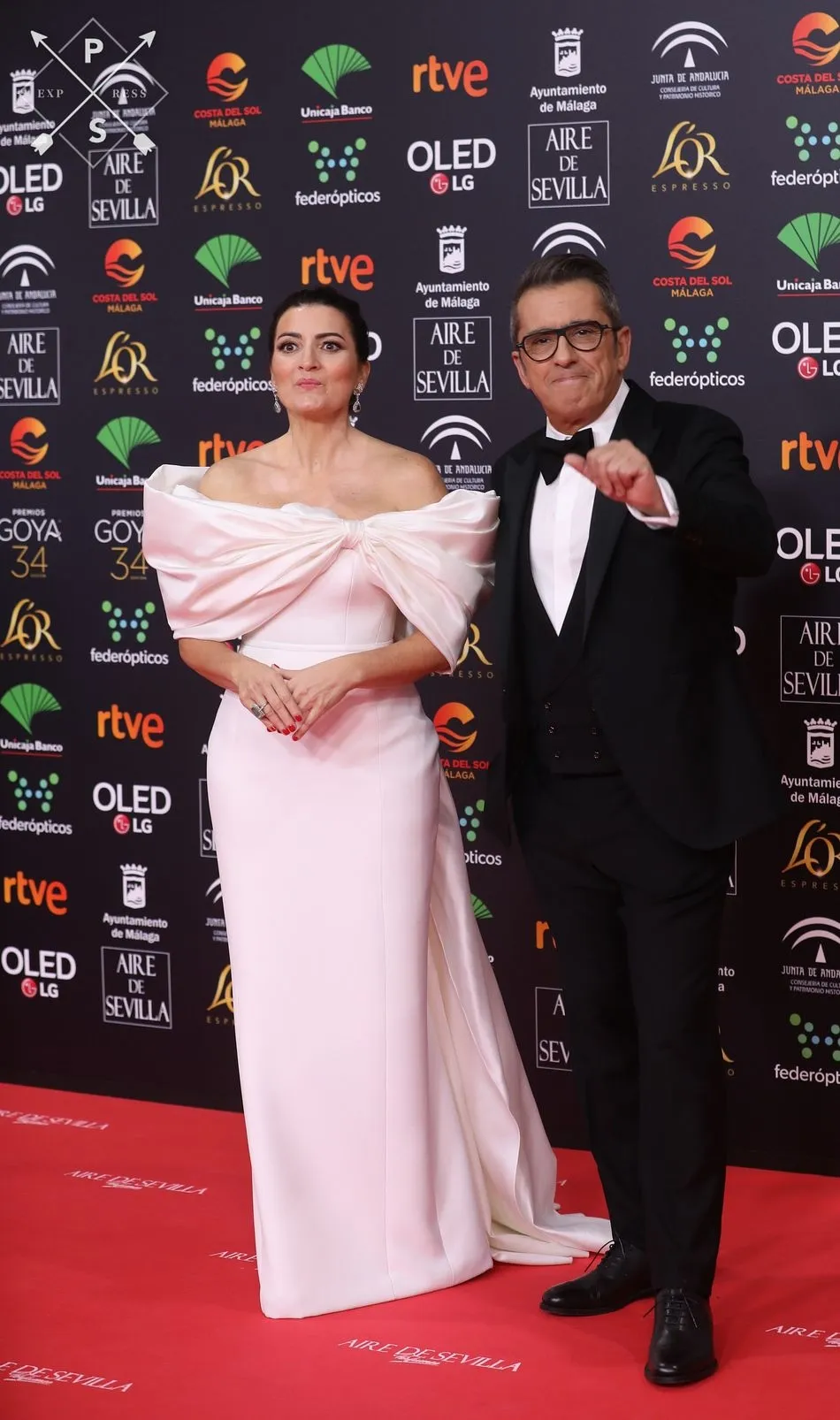 Foto 2 - Los looks m&aacute;s destacados en la alfombra roja de los Premios Goya 2020