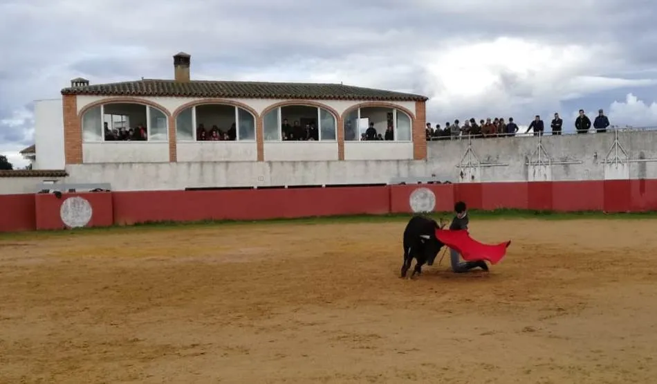 Foto 10 - Excelente rendimiento de las vacas de Juan Manuel Criado y Encinagrande en la 2&ordf; tienta bolsinista ...