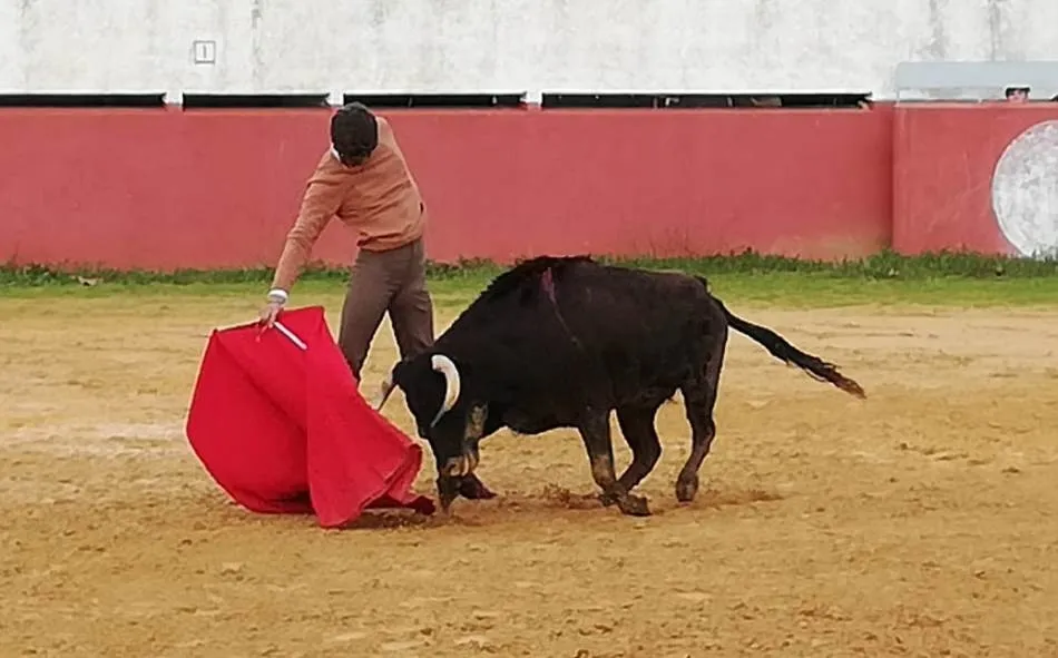 Foto 11 - Excelente rendimiento de las vacas de Juan Manuel Criado y Encinagrande en la 2&ordf; tienta bolsinista ...