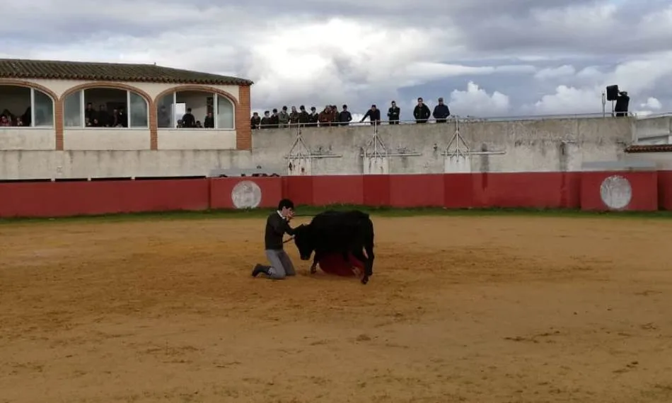 Foto 4 - Excelente rendimiento de las vacas de Juan Manuel Criado y Encinagrande en la 2&ordf; tienta bolsinista ...