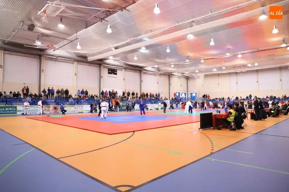 Foto 5 - Excelente nivel en la&nbsp;Copa de Espa&ntilde;a Junior &lsquo;Memorial Inmaculada Hern&aacute;ndez&rsquo; de Judo