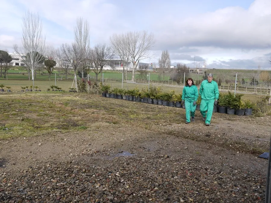 Foto 2 - Los alumnos del programa formativo &ldquo;Entorno Verde Carbajosa&rdquo; crear&aacute;n un jard&iacute;n urbano en el...
