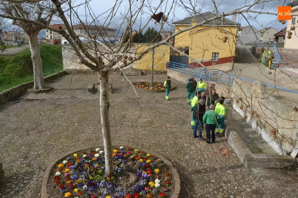 Foto 4 - Los alumnos de &lsquo;Ciudad Rodrigo en Verde&rsquo; remozan la plazuela del Ca&ntilde;o del Moro  