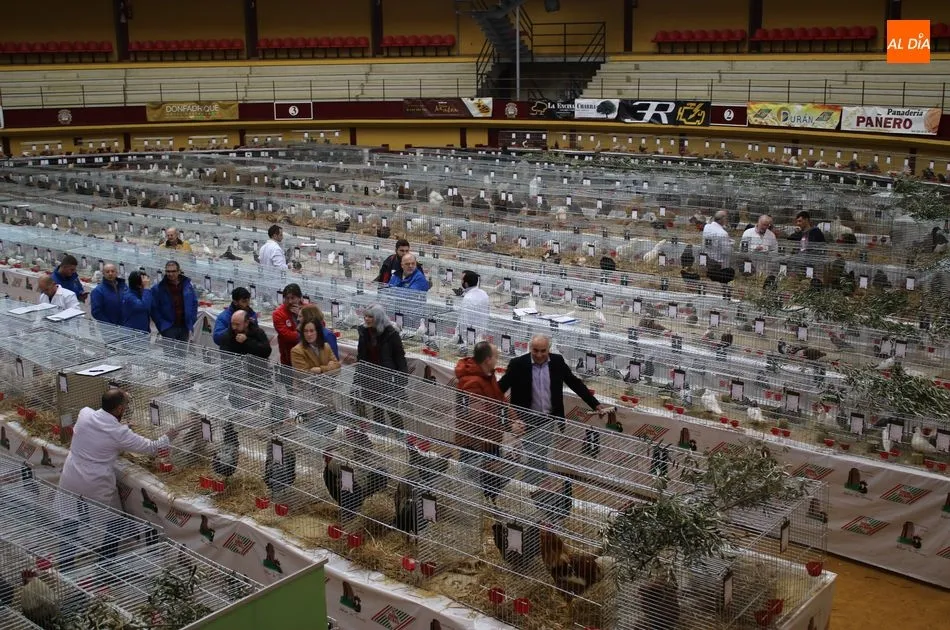 Foto 10 - Avicoalba abre las puertas de una de las ferias de avicultura m&aacute;s importantes de Espa&ntilde;a