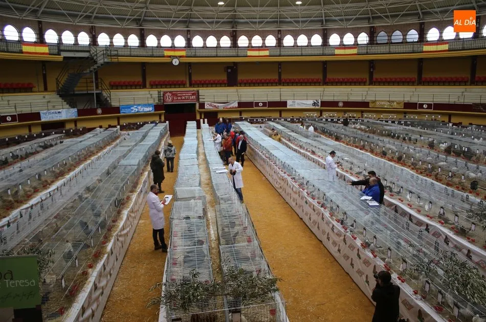 Foto 9 - Avicoalba abre las puertas de una de las ferias de avicultura m&aacute;s importantes de Espa&ntilde;a