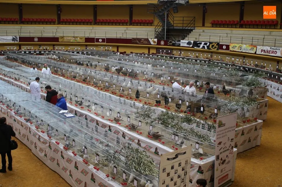 Foto 8 - Avicoalba abre las puertas de una de las ferias de avicultura m&aacute;s importantes de Espa&ntilde;a