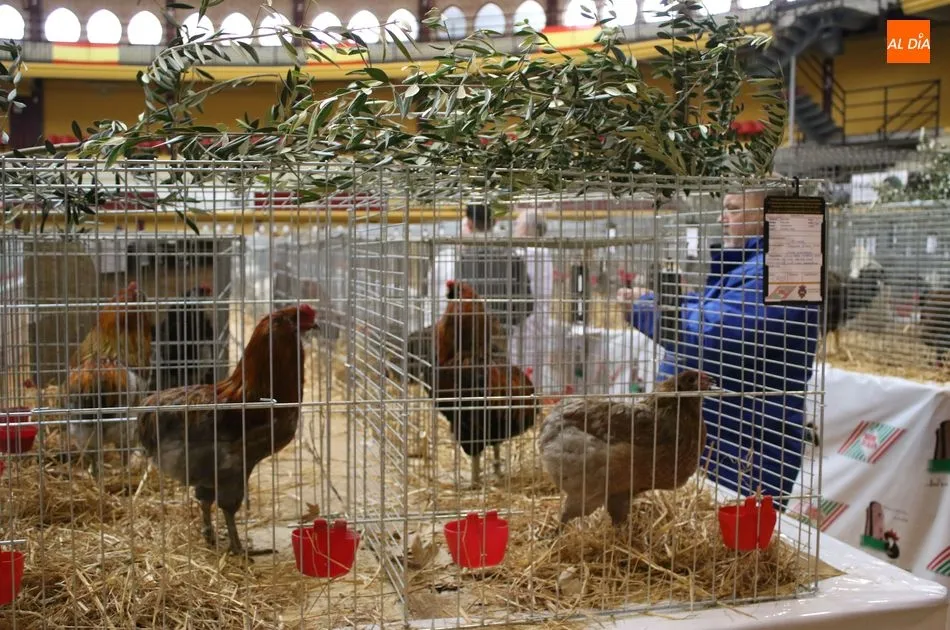 Foto 7 - Avicoalba abre las puertas de una de las ferias de avicultura m&aacute;s importantes de Espa&ntilde;a