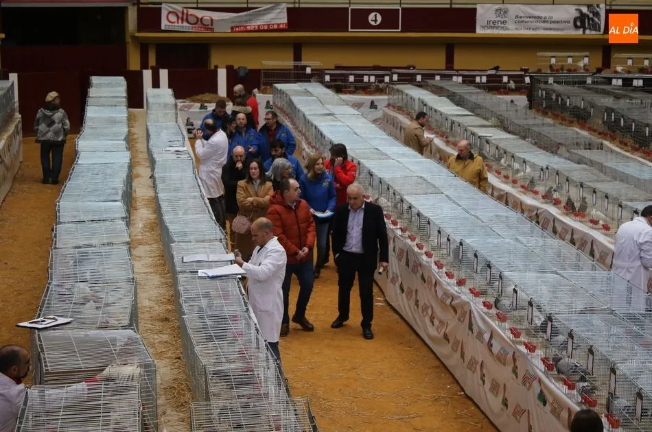 Foto 4 - Avicoalba abre las puertas de una de las ferias de avicultura m&aacute;s importantes de Espa&ntilde;a