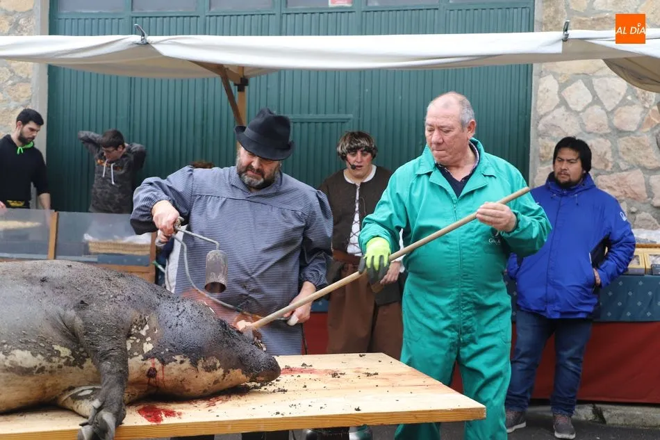 Foto 9 - Jornada de tradici&oacute;n matancera en Castellanos de Moriscos&nbsp;