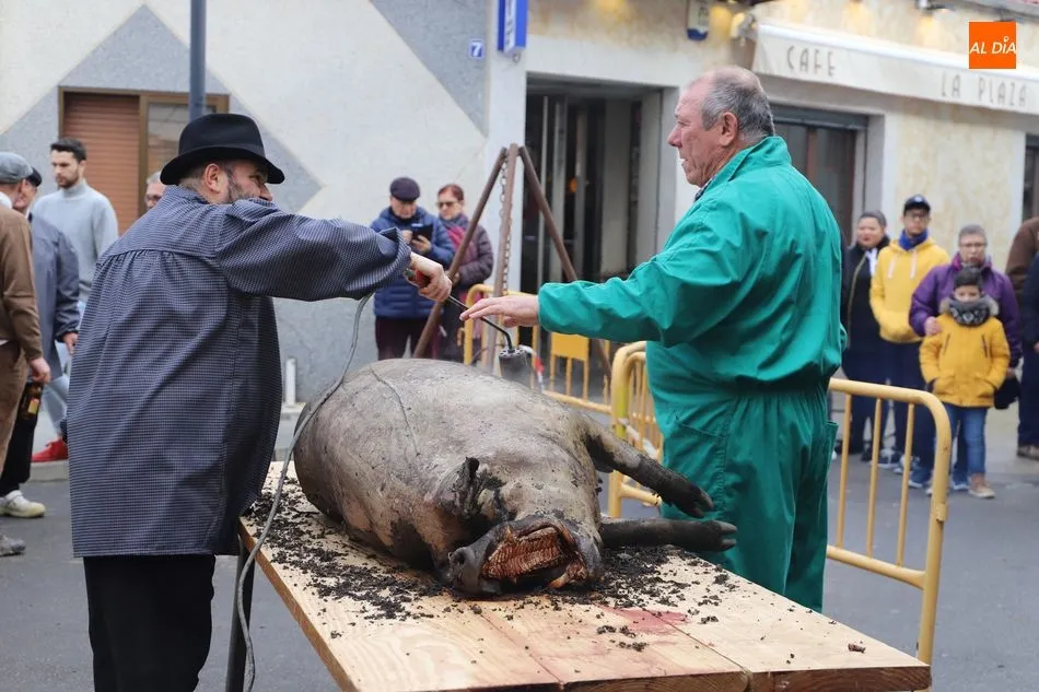 Foto 7 - Jornada de tradici&oacute;n matancera en Castellanos de Moriscos&nbsp;