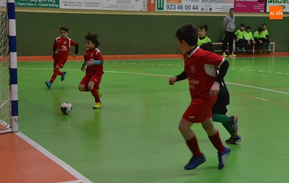 Foto 9 - Los benjamines de los Juegos Escolares disfrutan en Conde de Fox&aacute; de una nueva jornada de...