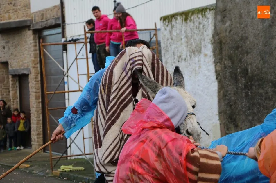 Foto 7 - Los quintos 2020 cumplen en Vitigudino con la tradicional rotura de c&aacute;ntaras  