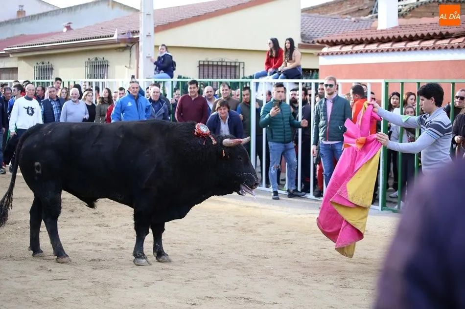 Foto 11 - Multitudinario Toro de San Blas en Babilafuente