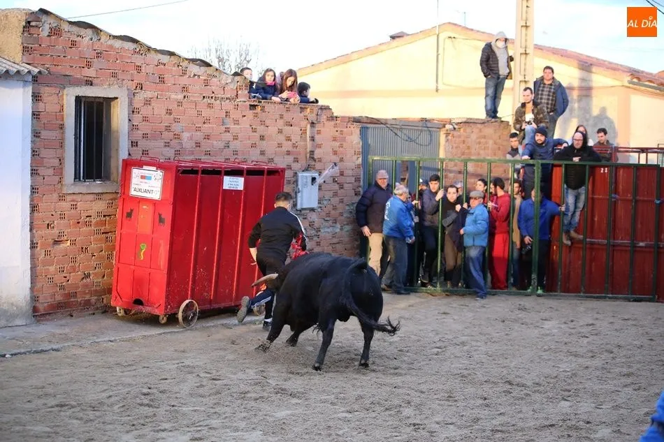 Foto 6 - Multitudinario Toro de San Blas en Babilafuente