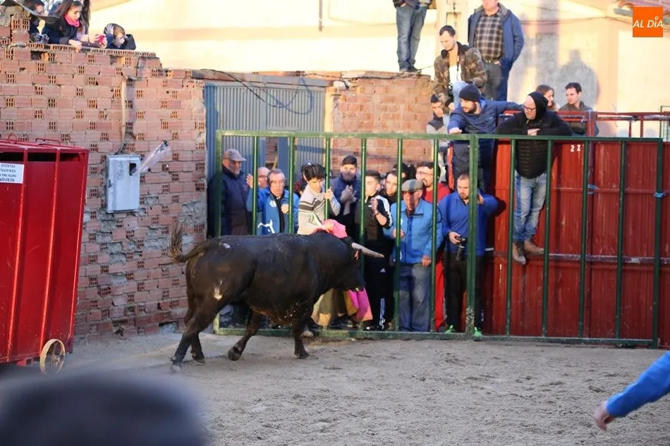 Foto 5 - Multitudinario Toro de San Blas en Babilafuente