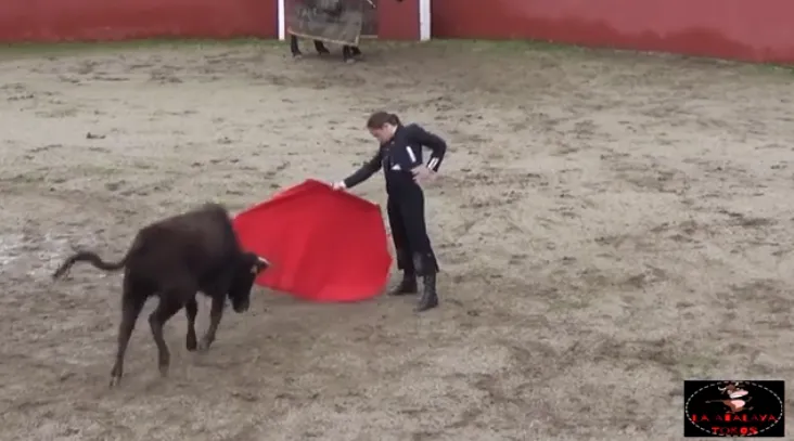Disponible en vídeo el resumen de la primera tienta del Bolsín en tierras salmantinas  