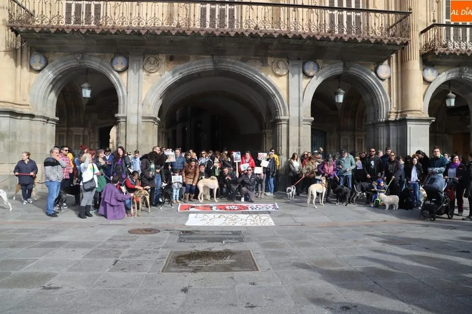 Foto 2 - La Plaza Mayor re&uacute;ne a un centenar de detractores de la caza  