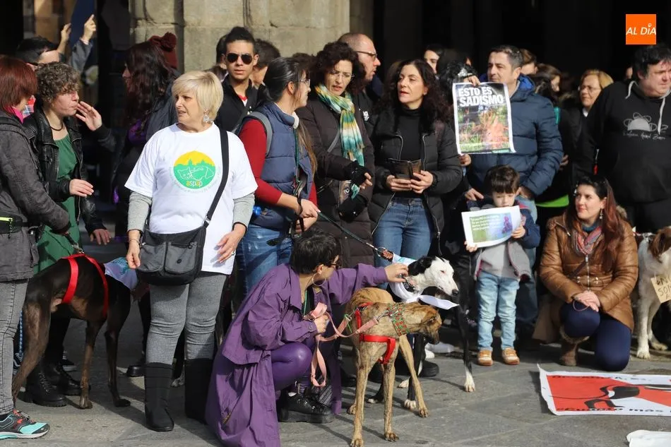 Foto 6 - La Plaza Mayor re&uacute;ne a un centenar de detractores de la caza  