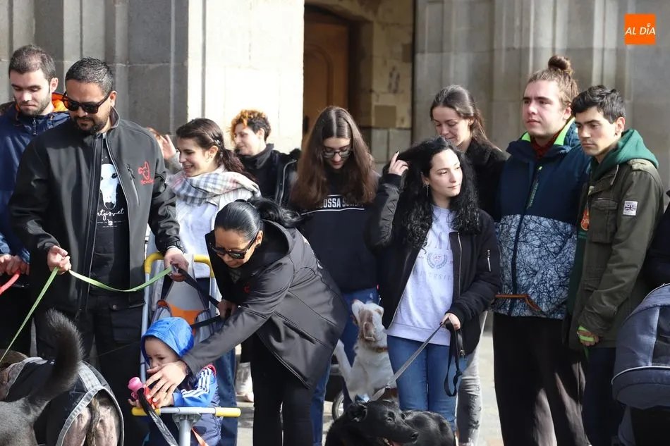 Foto 4 - La Plaza Mayor re&uacute;ne a un centenar de detractores de la caza  