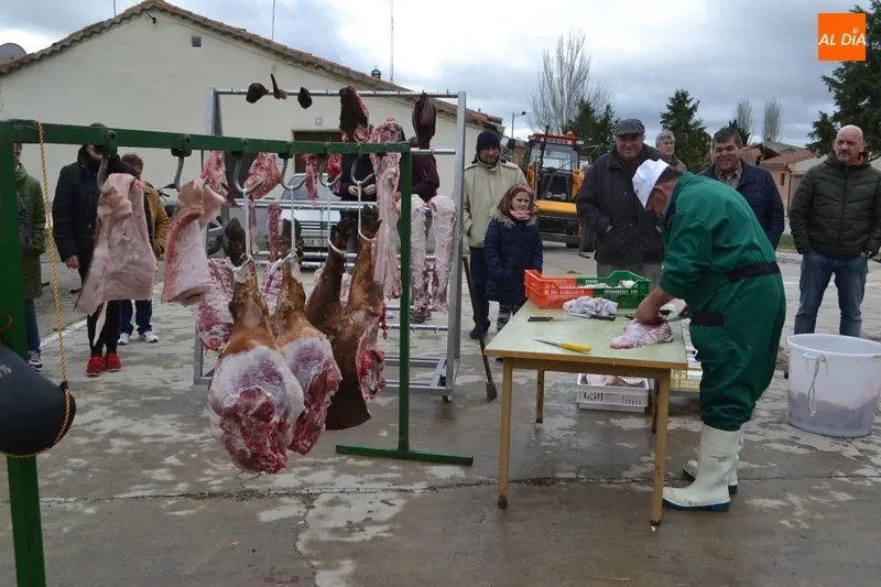 Foto 9 - Macotera devuelve a las calles por sexto a&ntilde;o su Matanza Tradicional