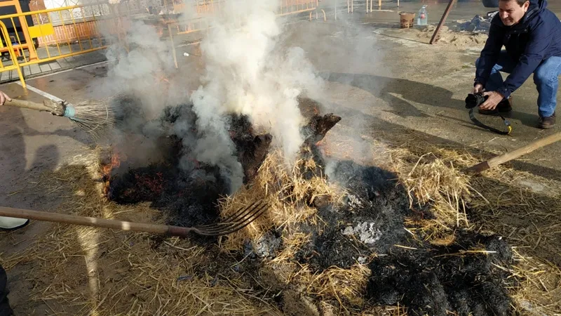 Foto 8 - Macotera devuelve a las calles por sexto a&ntilde;o su Matanza Tradicional