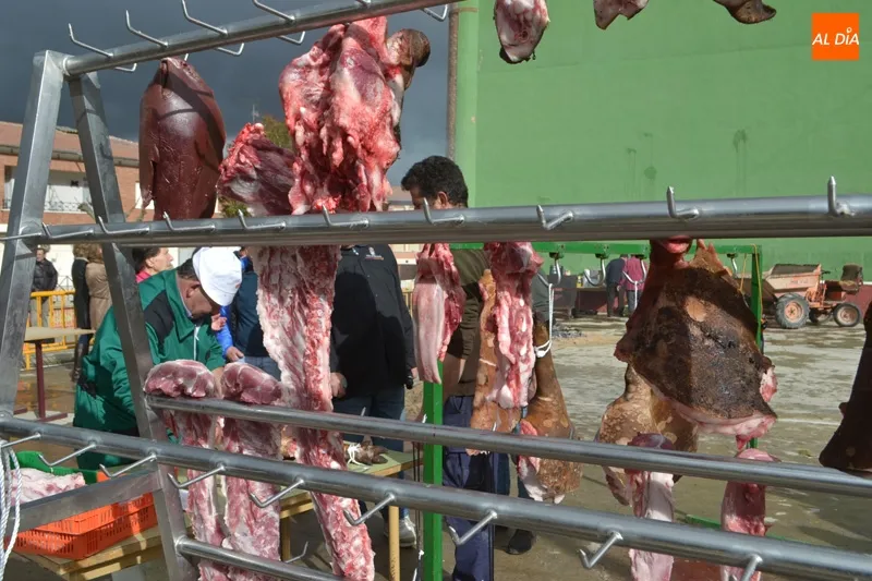 Foto 4 - Macotera devuelve a las calles por sexto a&ntilde;o su Matanza Tradicional