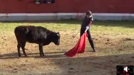 El Bolsín llega al Conde Rodrigo II con una amplia asistencia de público  