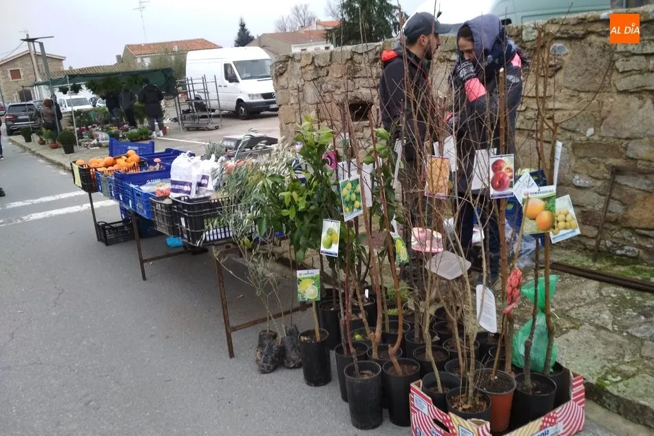 Foto 2 - La buena temperatura anima la afluencia al mercadillo portugu&eacute;s de Trabanca en una fecha muy...