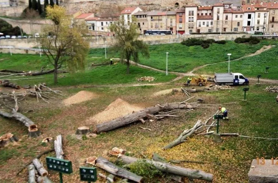 Foto 5 - Quejas de un colectivo ecologista por la tala de &aacute;rboles junto al Puente Romano
