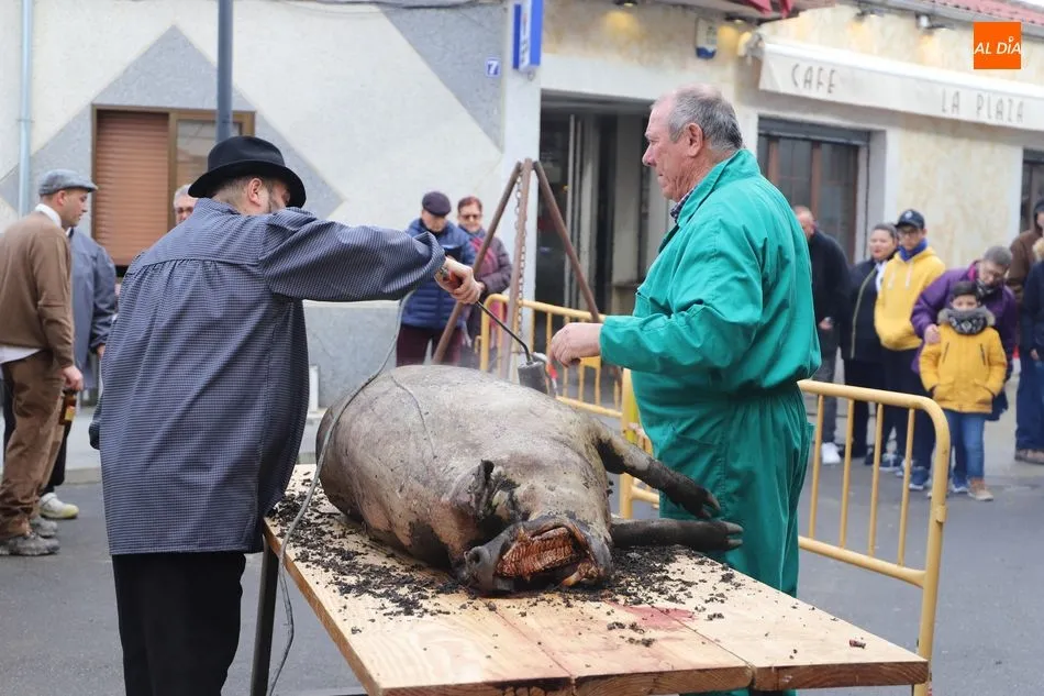 Fiesta de la matanza tradicional en Castellanos de Moriscos