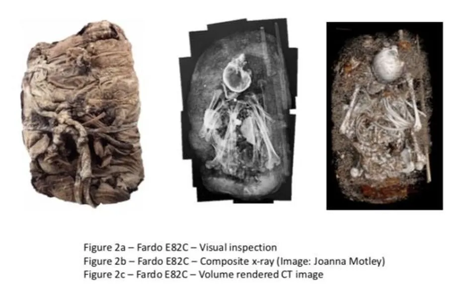 Momias empaquetadas reveladas en mosaico digital de rayos X. Foto: EP