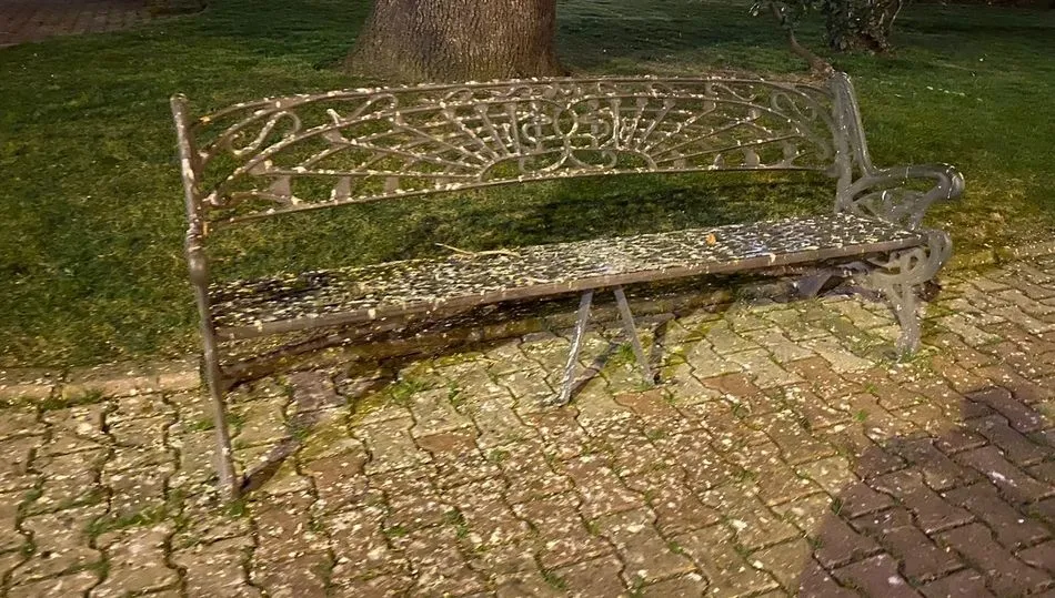 Banco del parque municipal de Béjar