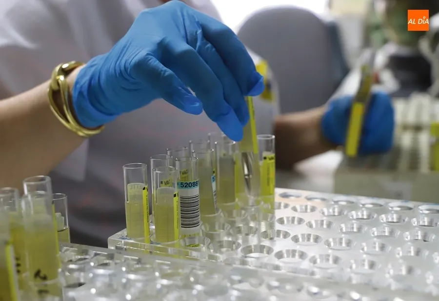 El informe 2019 del CSIC coloca el ‘techo de cristal’ en un 1’37 | Foto: Lydia González