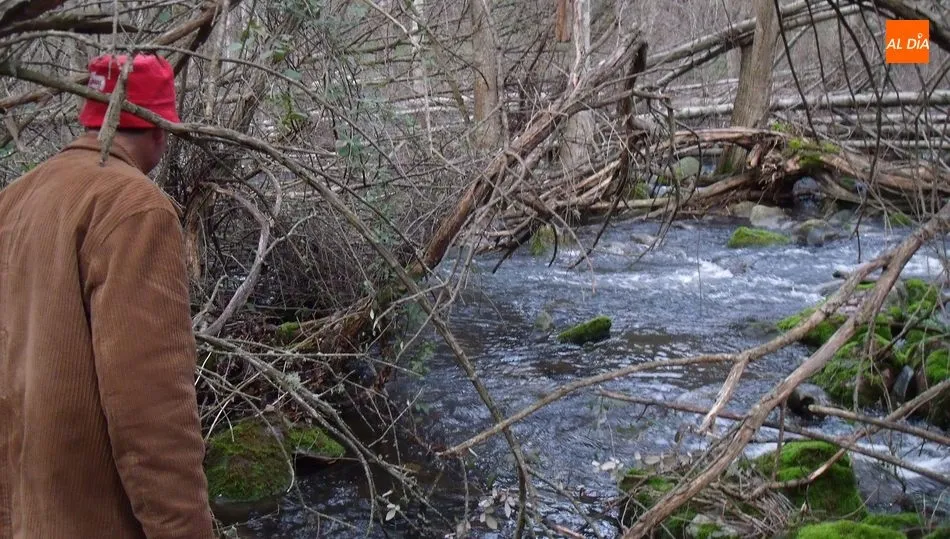 El Tormes, aguas abajo de la presa de Almendra, se mantiene a la espera, al menos, de que la Junta deje actuar a la CHD  / CORRAL