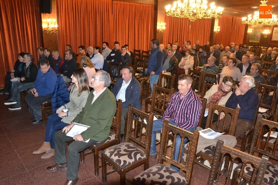 El sector ovino cuenta en Castilla y León con entre 3,6 y 3,7 millones de cabezas  