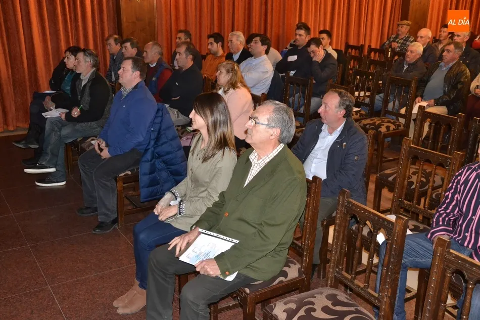 Foto 4 - El sector ovino cuenta en Castilla y Le&oacute;n con entre 3,6 y 3,7 millones de cabezas  