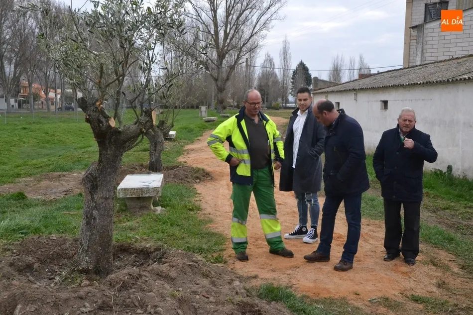 Foto 11 - El Ayuntamiento planta una decena de olivos y una encina en el entorno de las Pistas del Puente