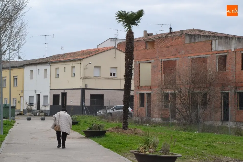 Foto 5 - El Ayuntamiento planta una decena de olivos y una encina en el entorno de las Pistas del Puente