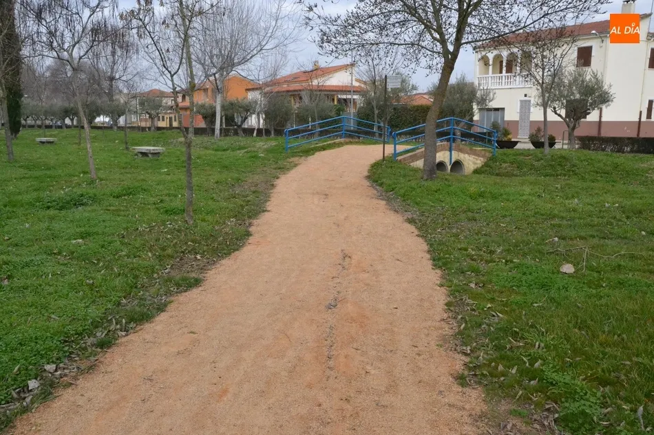 Foto 3 - El Ayuntamiento planta una decena de olivos y una encina en el entorno de las Pistas del Puente