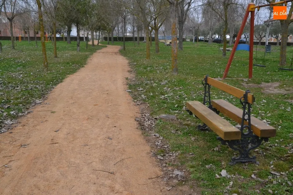Foto 4 - El Ayuntamiento planta una decena de olivos y una encina en el entorno de las Pistas del Puente