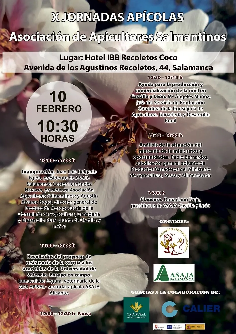 Foto 2 - Salamanca acoge el lunes la X Convenci&oacute;n Ap&iacute;cola
