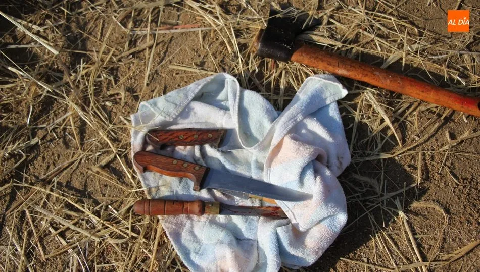 Paja de centeno para el chamuscado y las herramientas del matancero / CORRAL