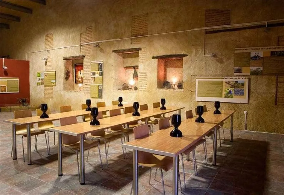 Foto 3 - Un museo del vino en plena Armu&ntilde;a  