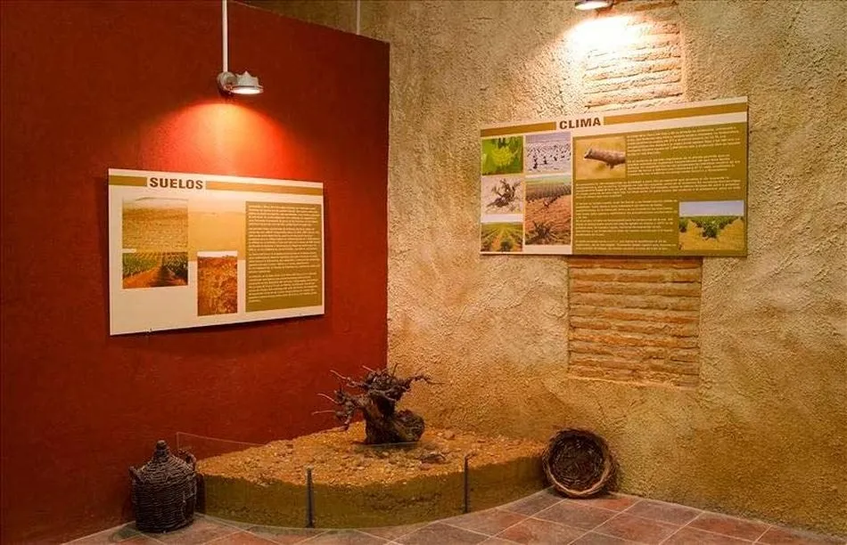 Foto 2 - Un museo del vino en plena Armu&ntilde;a  